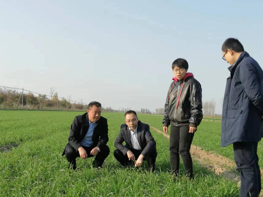 重庆农投集团考察学习组赴江苏安徽两垦区考察学习高标准农田建设经验